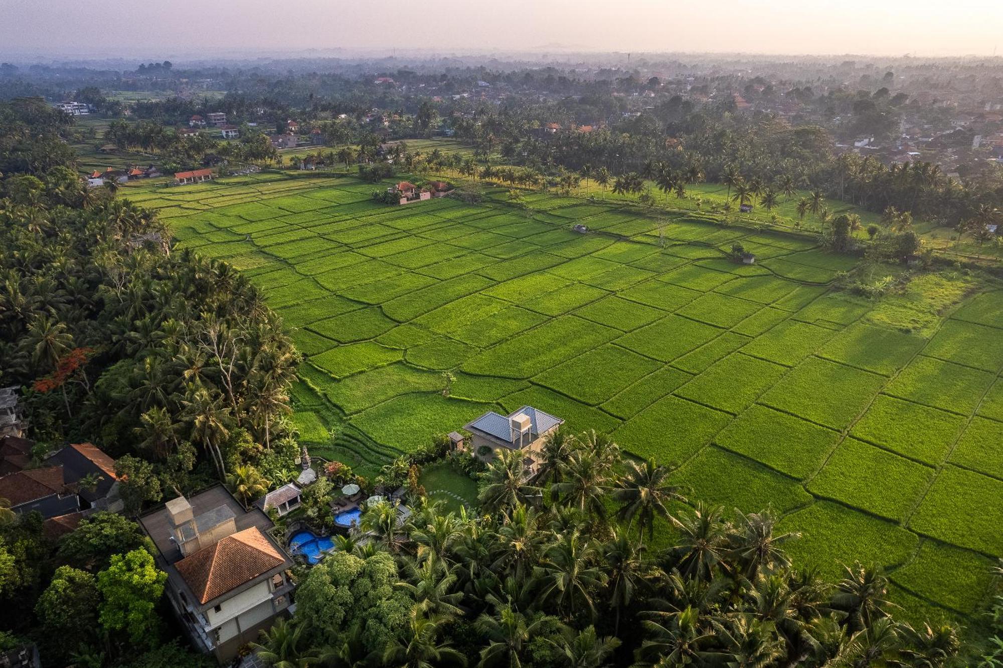 Gynandha Ubud (Bali)
